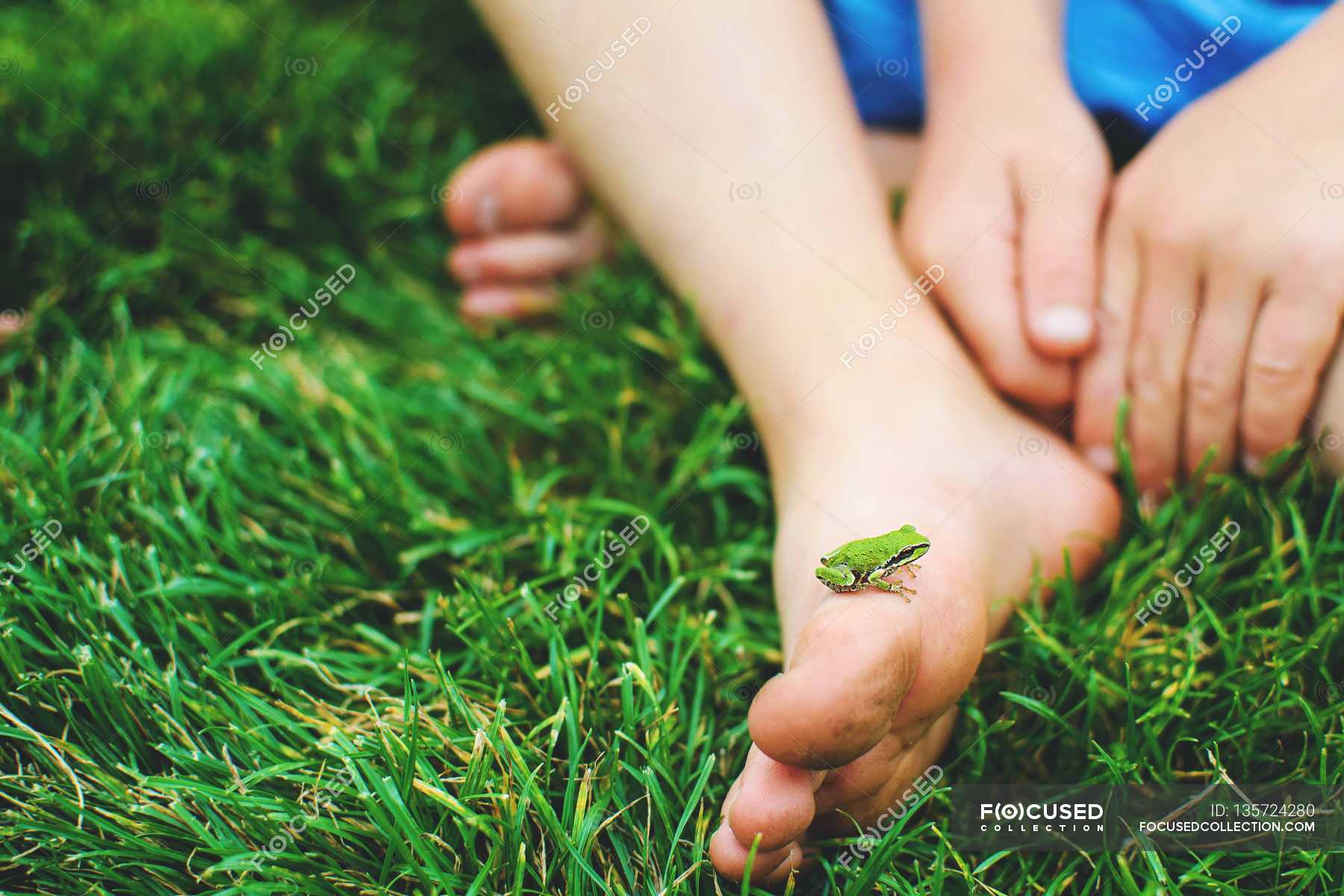 Red Dots On Child S Foot