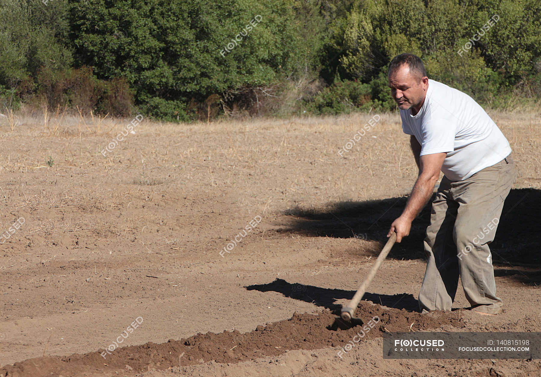 Agricoltore Che Utilizza Una Zappa in Giardino Fotografia Stock