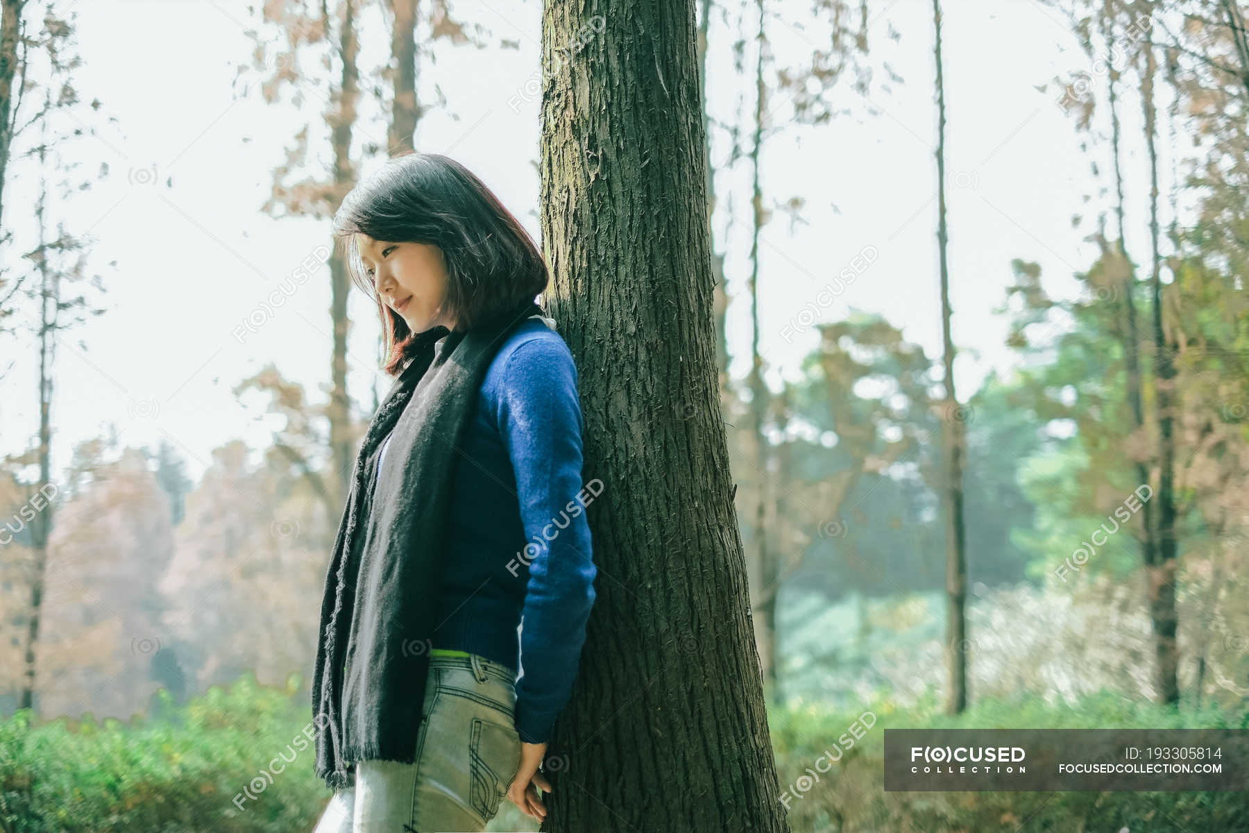 Thoughtful woman leaning against tree in forest — nature, people ...