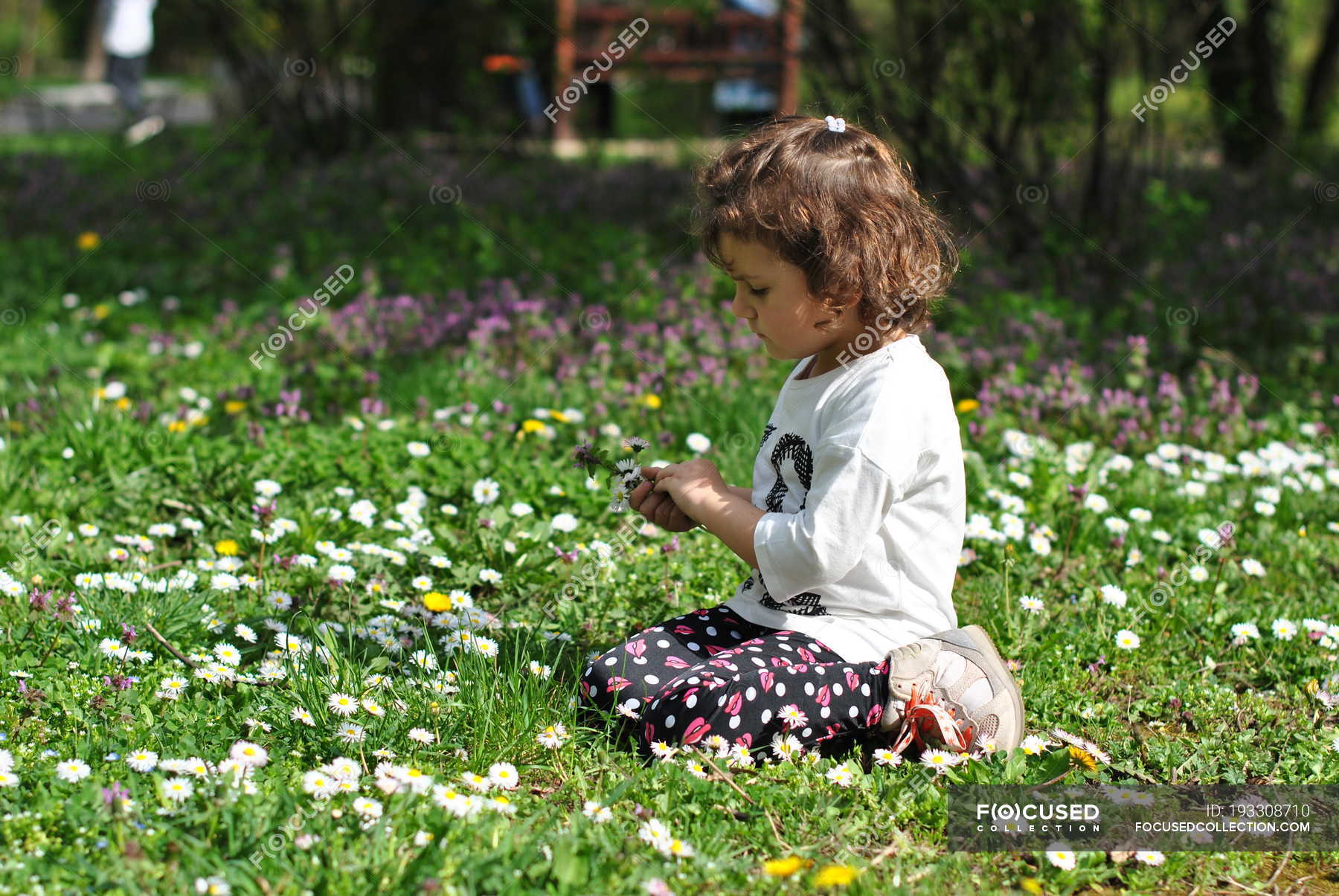 Собирать весной. Picking Flowers in Spring.