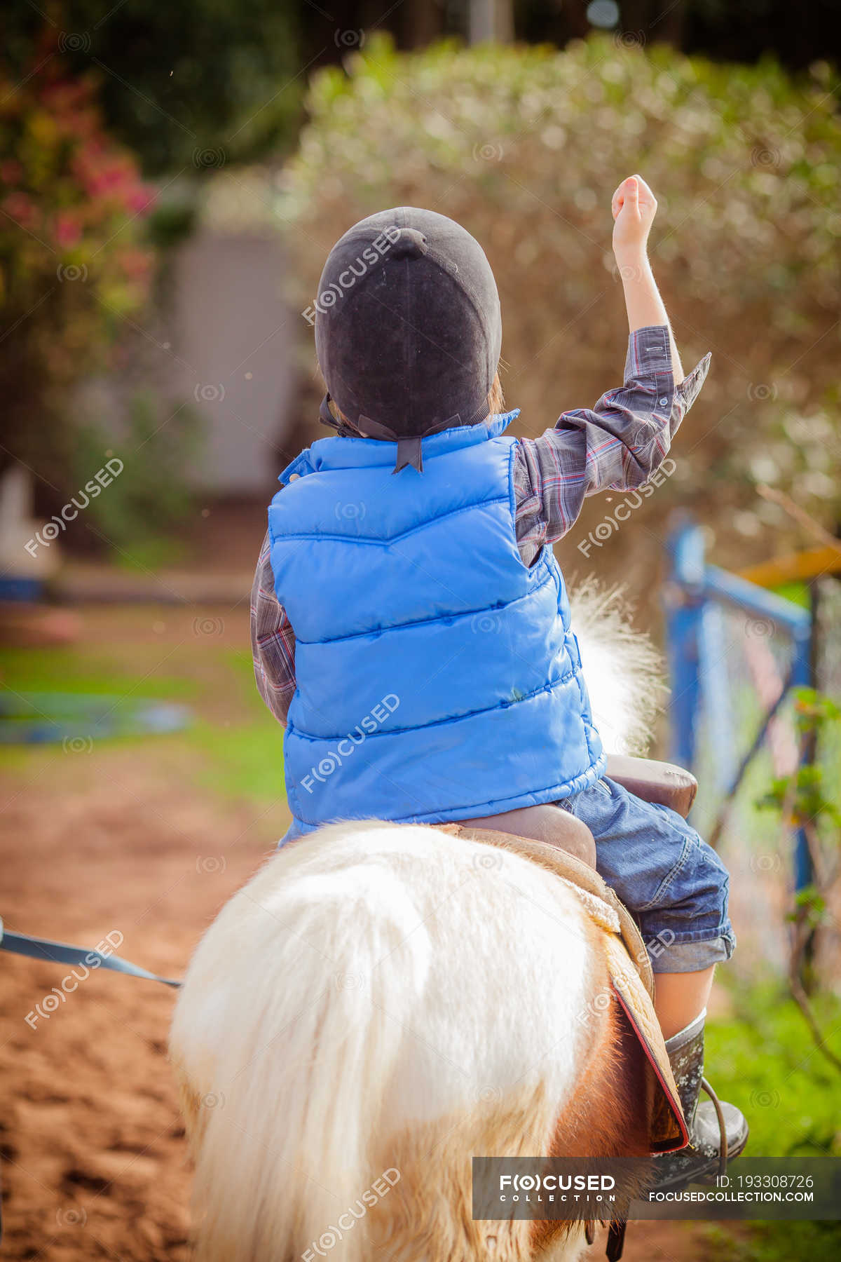 Download Rear View Of Boy Riding Pony Horse In Park Daytime Kid Stock Photo 193308726