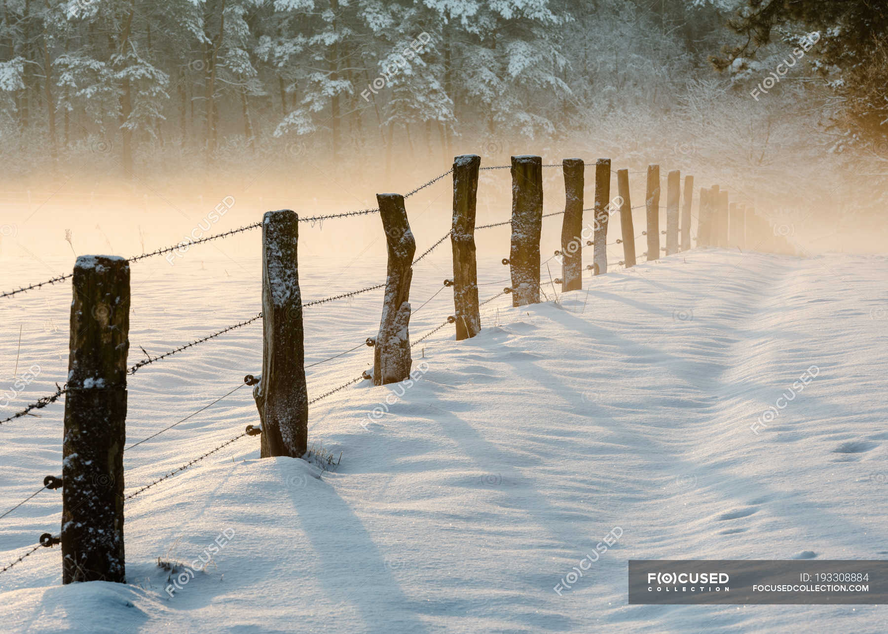 Scenic View Of Wooden Posts With Barbed Wire Fence In Snow