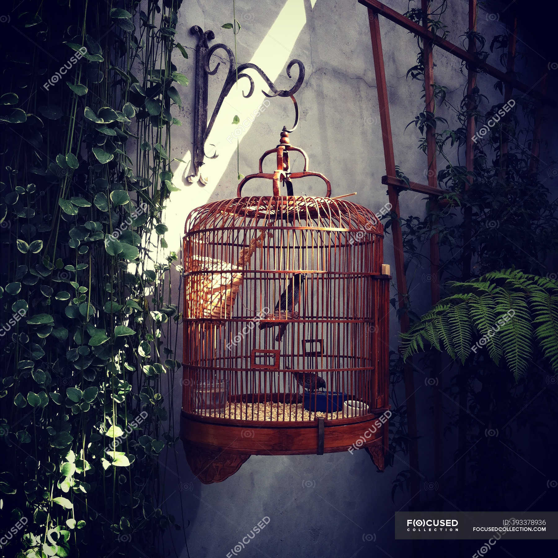 Подвесная клетка для человека. Клетка висит. Клетка висит. Железная клетка для человека. Висячая клетка.