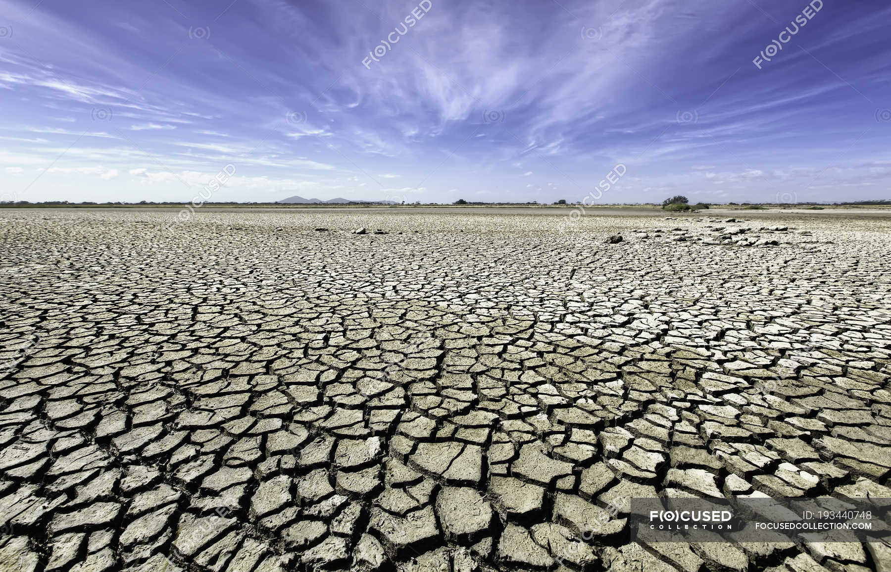 barren-barren-meaning-in-hindi-barren-meaning-barren-means