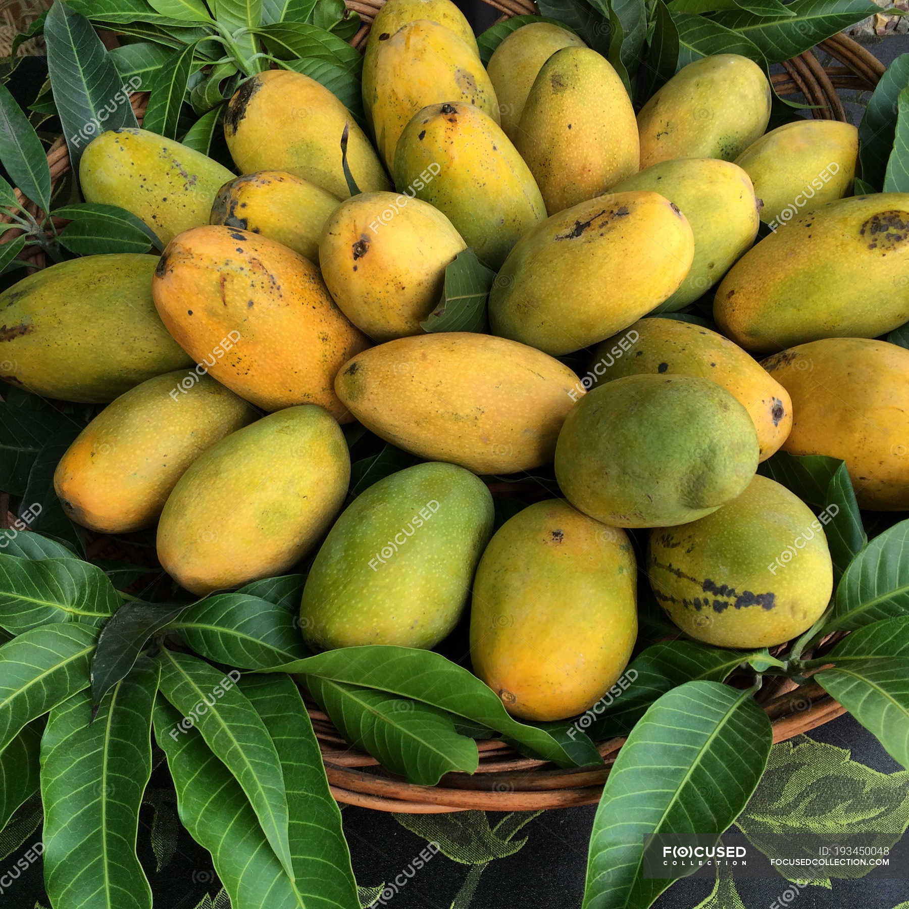 Albums 95+ Pictures Picture Of A Ripe Mango Stunning