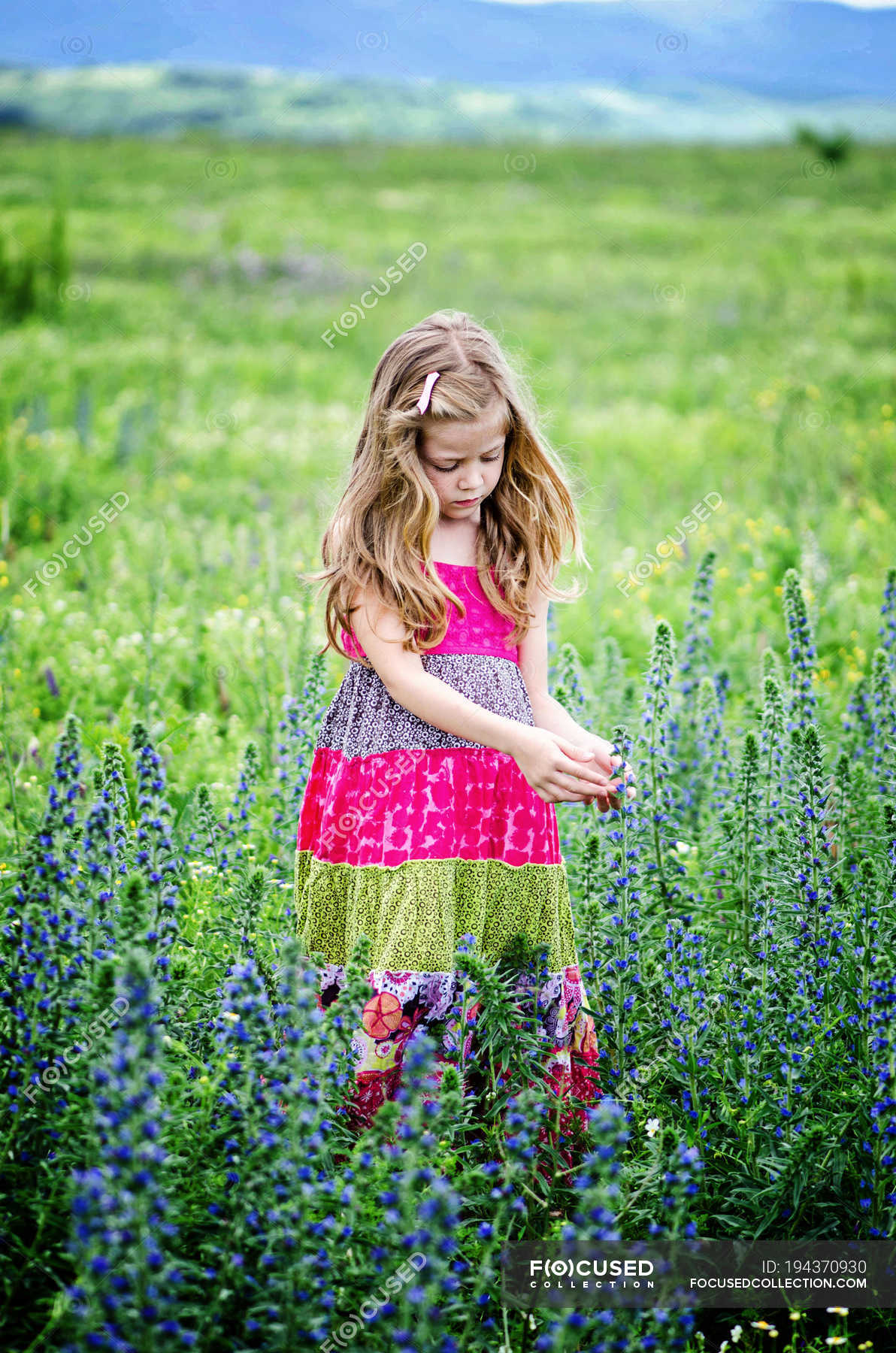 Blond Girl Picking Flowers In Meadow — Full Length, 6 7 Years - Stock ...