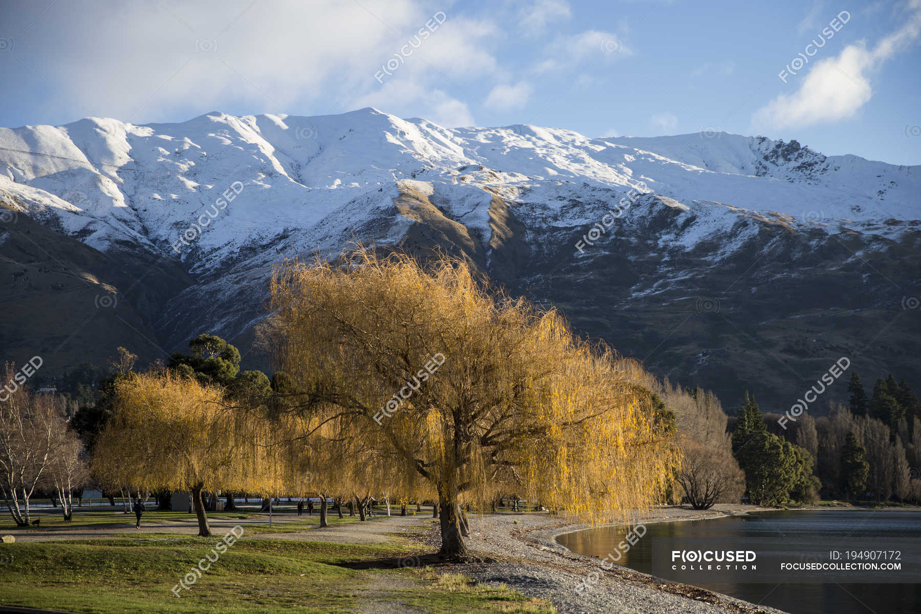 New Zealand Landscape With Snowcapped Mountains Scenics Beauty In Nature Stock Photo