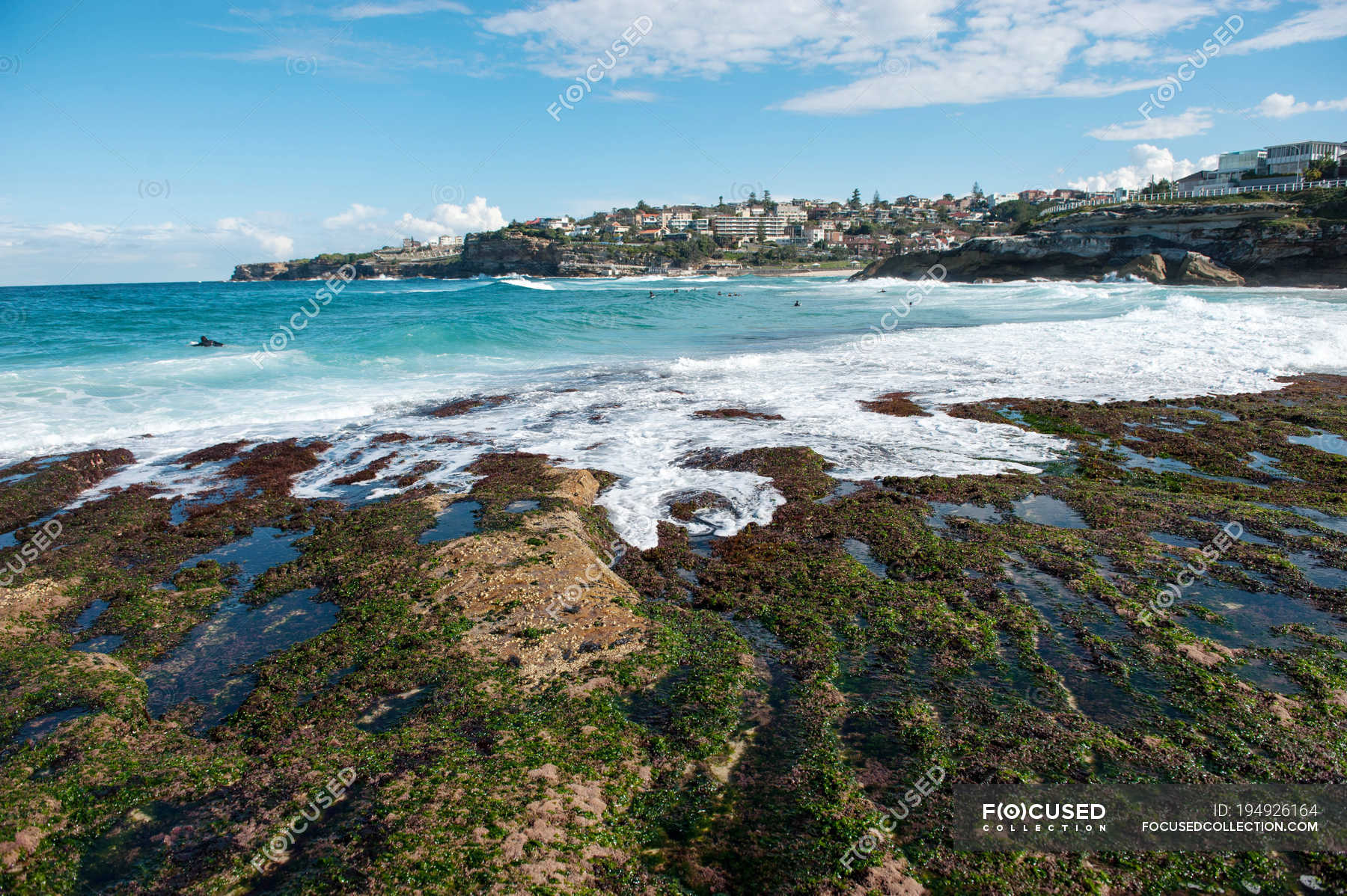 Scenic View Of Tamarama Beach Sydney New South Wales Australia Non Urban Scene Coastline Stock Photo