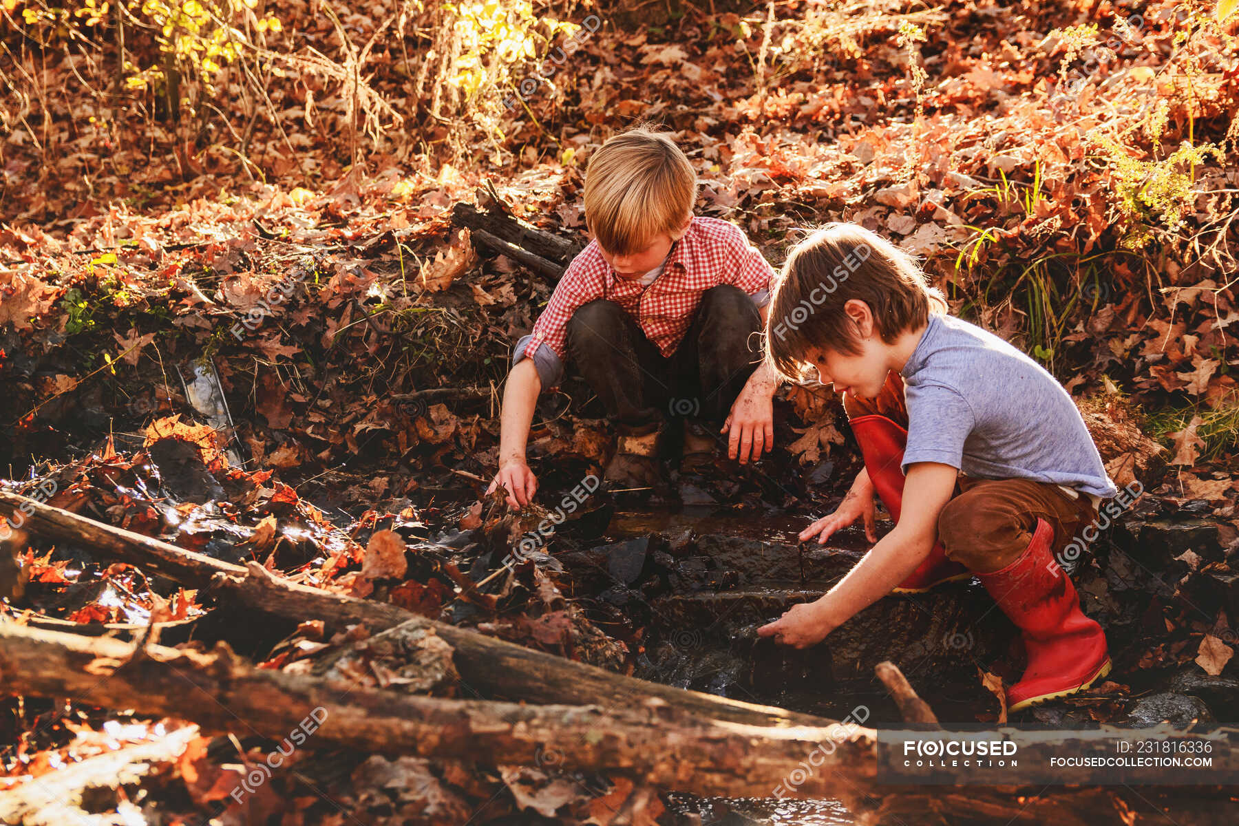 Two Boys Playing In Mud By A River Childhood Season Stock Photo   Focused 231816336 Stock Photo Two Boys Playing Mud River 