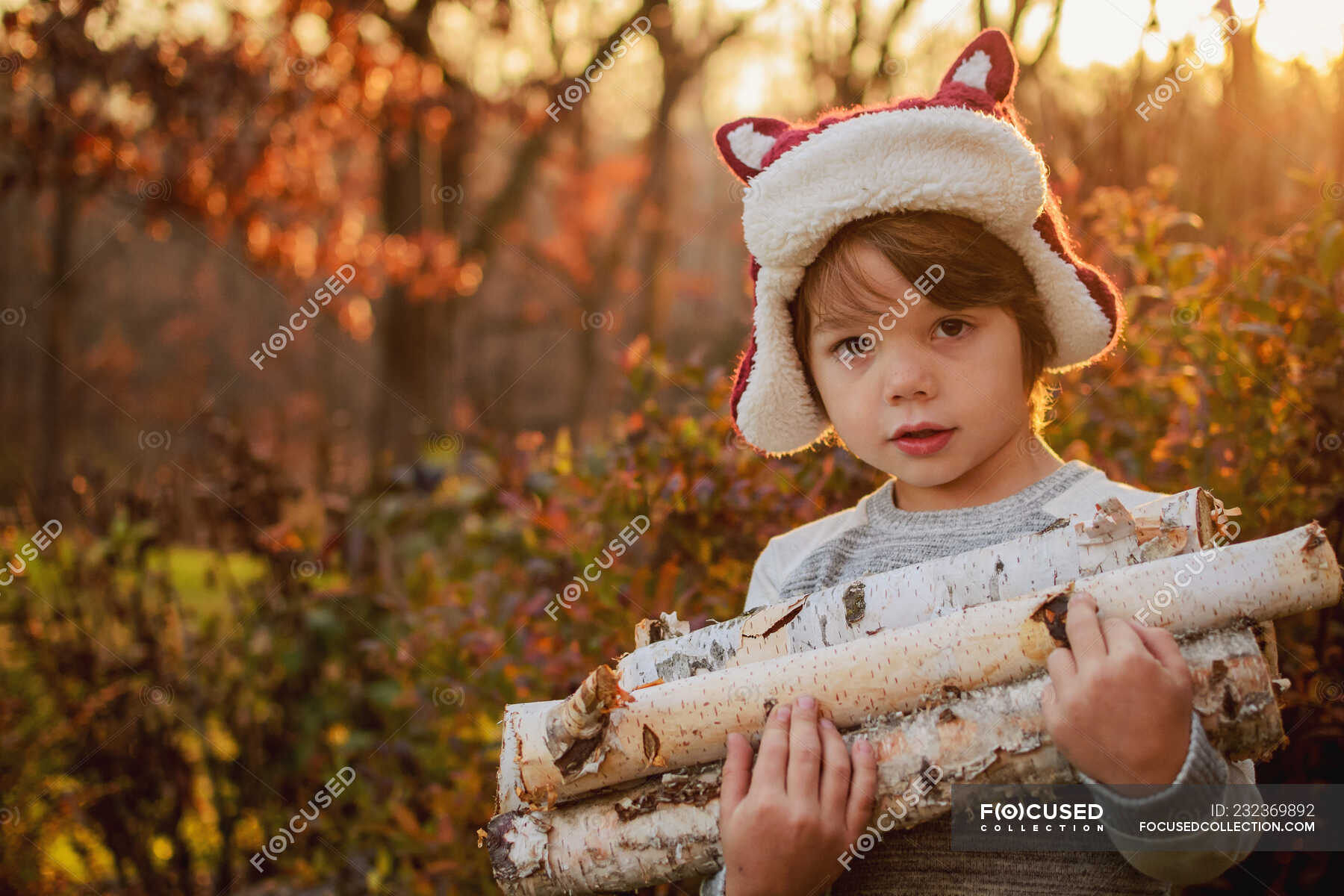 Boy carrying firewood in autumnal forest — hat, smiling - Stock Photo ...