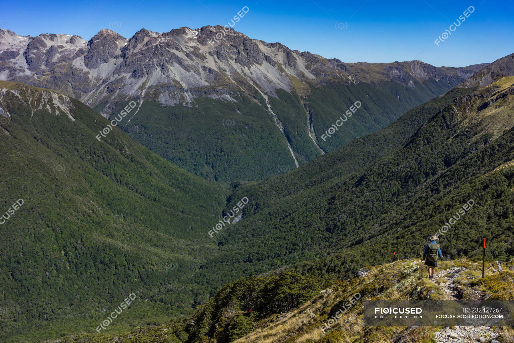 Man Hiking into Sabine River Valley, Nelson Lakes, National Park, New