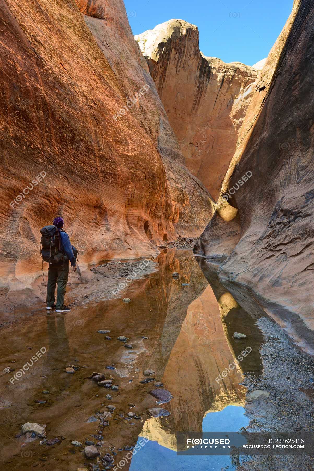 Rear view of Man Hiking in the Halls Creek Narrows, Capital Reef National Park, Utah, America