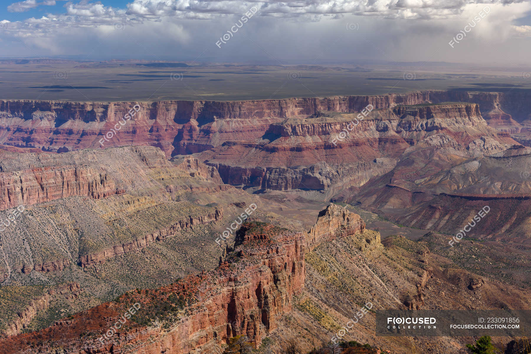 Kaibab plateau Stock Photos, Royalty Free Images Focused
