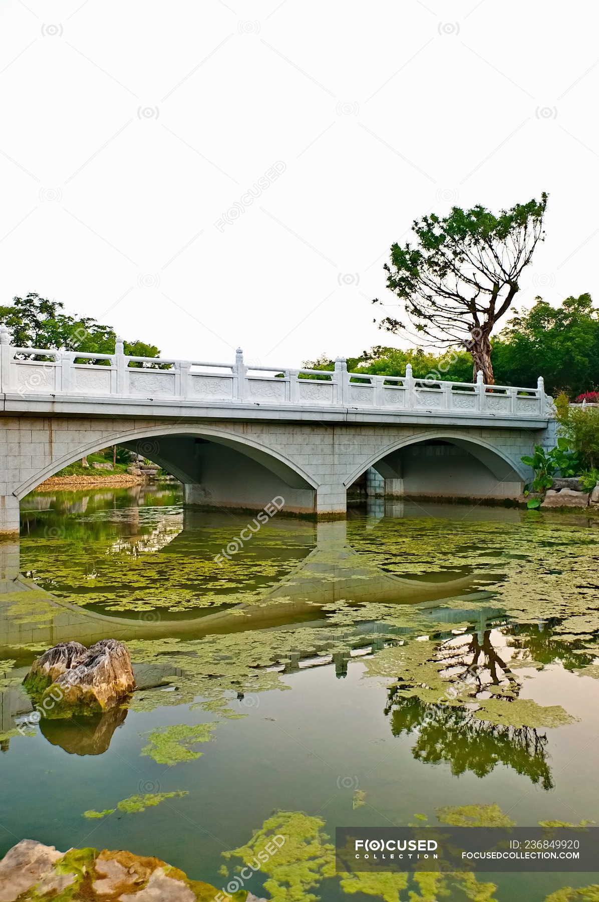 Мост Через Пруд Фото