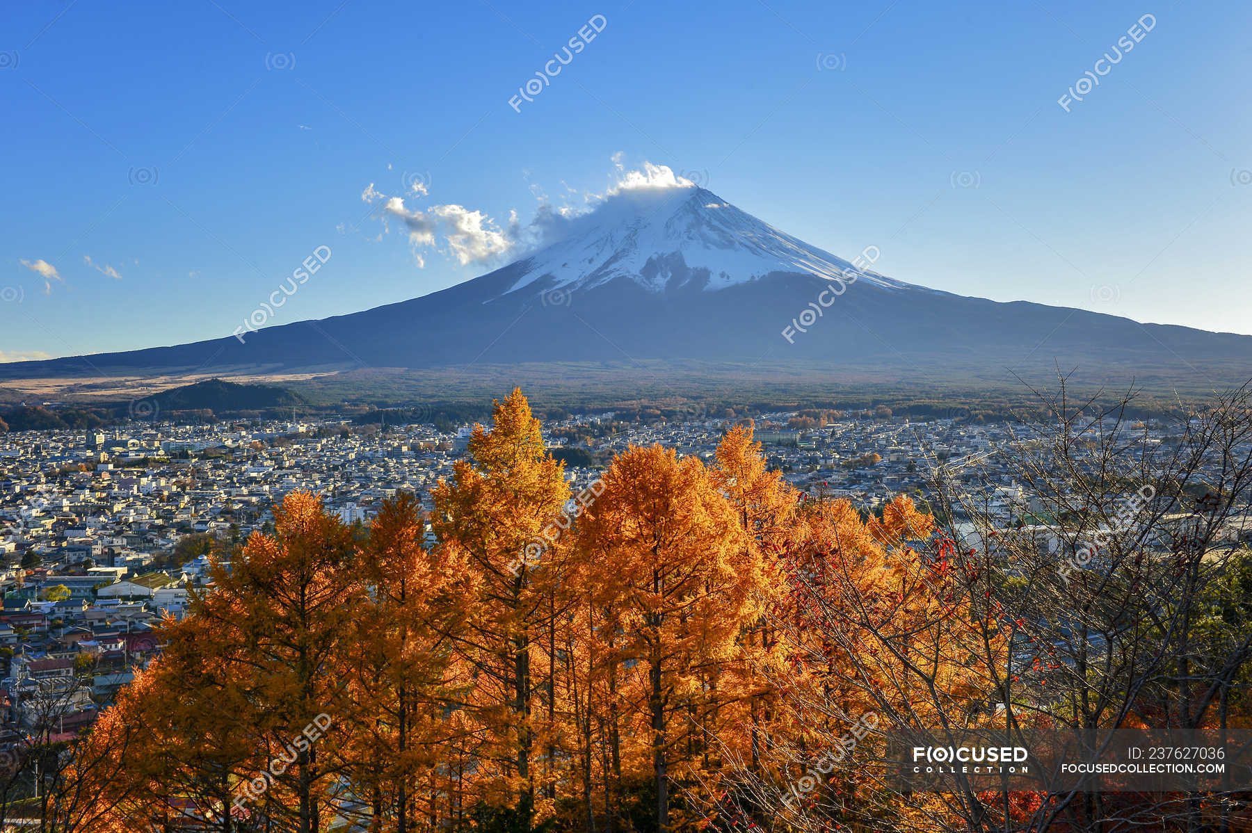 Scenic view of Mt. Fuji in autumn fall colors, Fujiyoshida, Japan ...