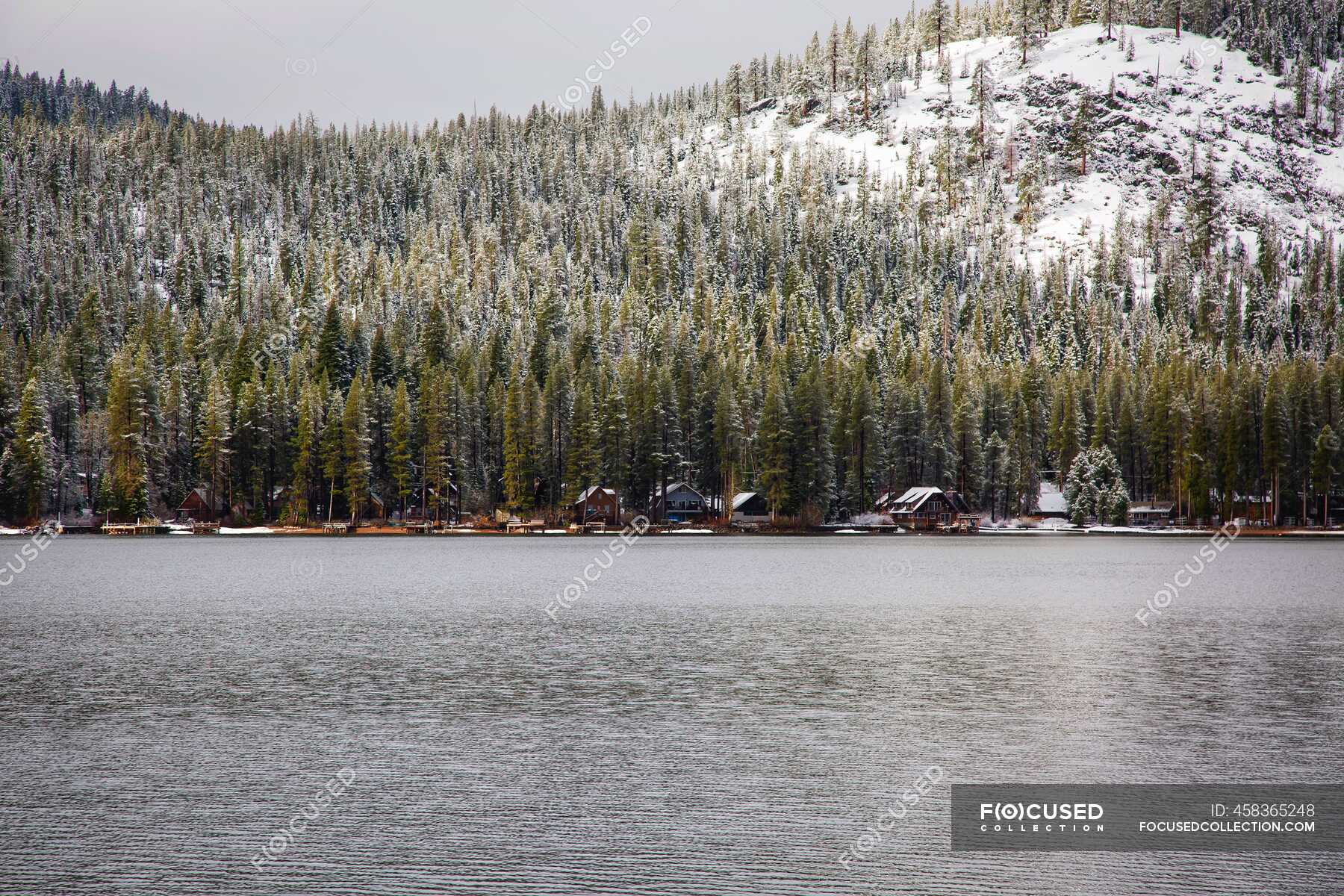 Sierra bosque nacional Fotos de stock, imágenes sin royalties Focused
