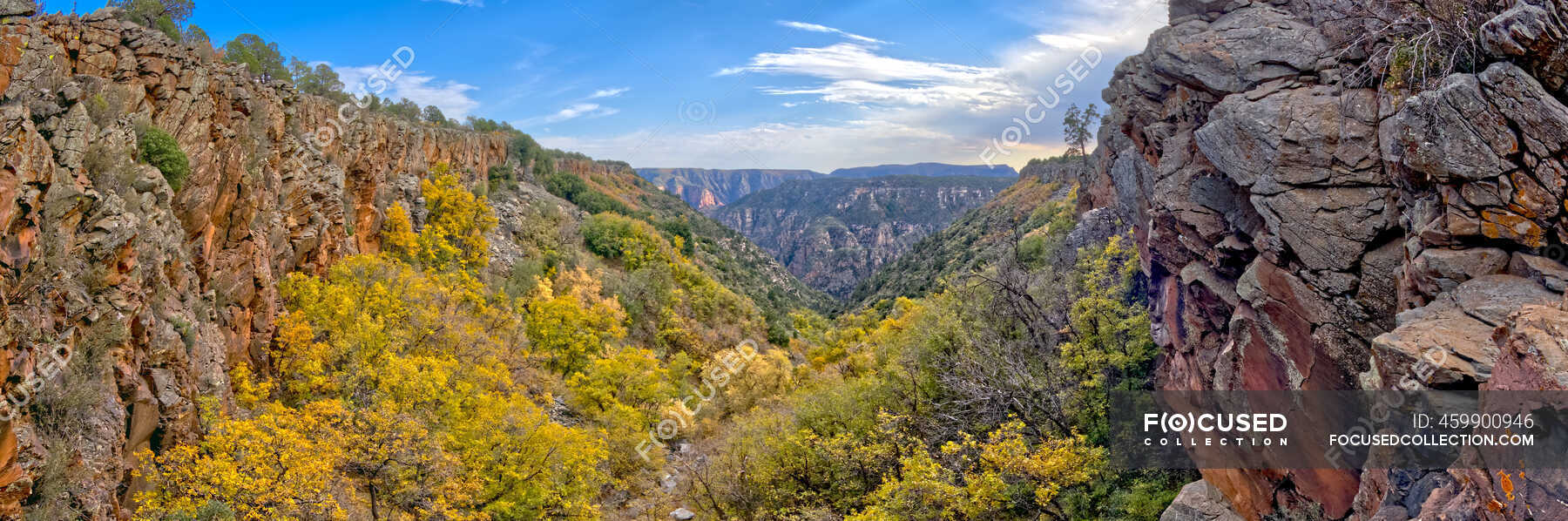 Sycamore Canyon West Of Sycamore Point, Kaibab National Forest, Arizona ...