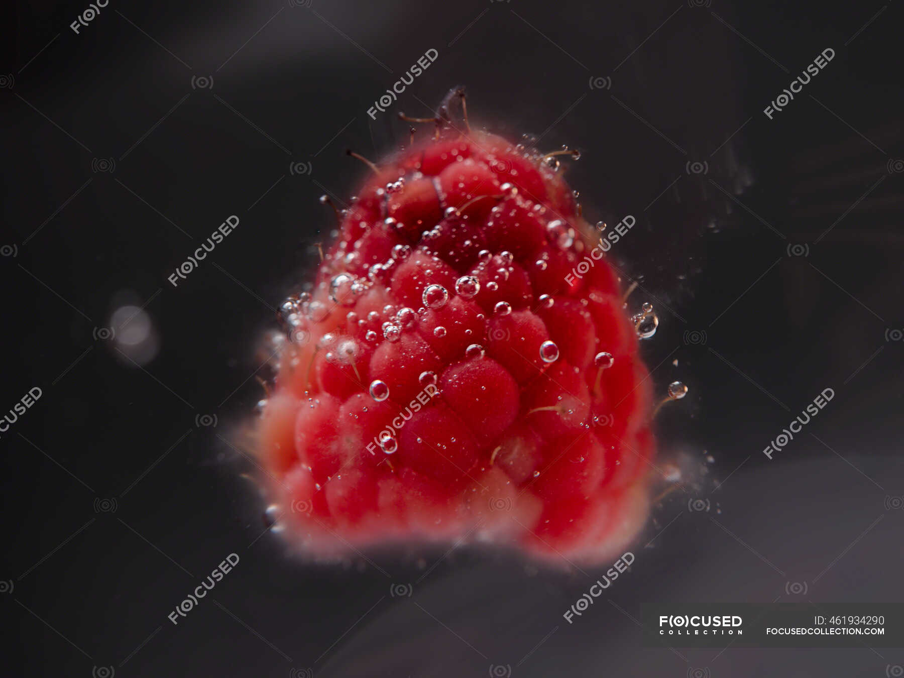 close-up-of-a-raspberry-submerged-in-water-healthy-food-single