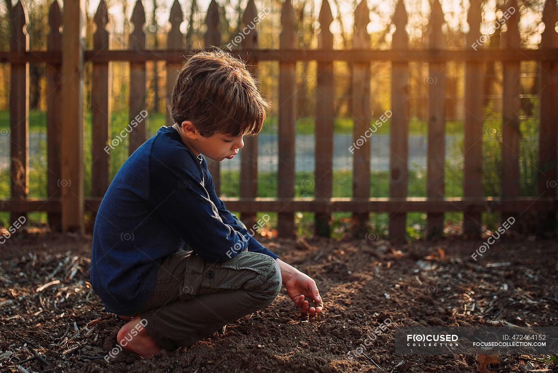 Boy Planting Seeds In A Garden United States — People Childhood