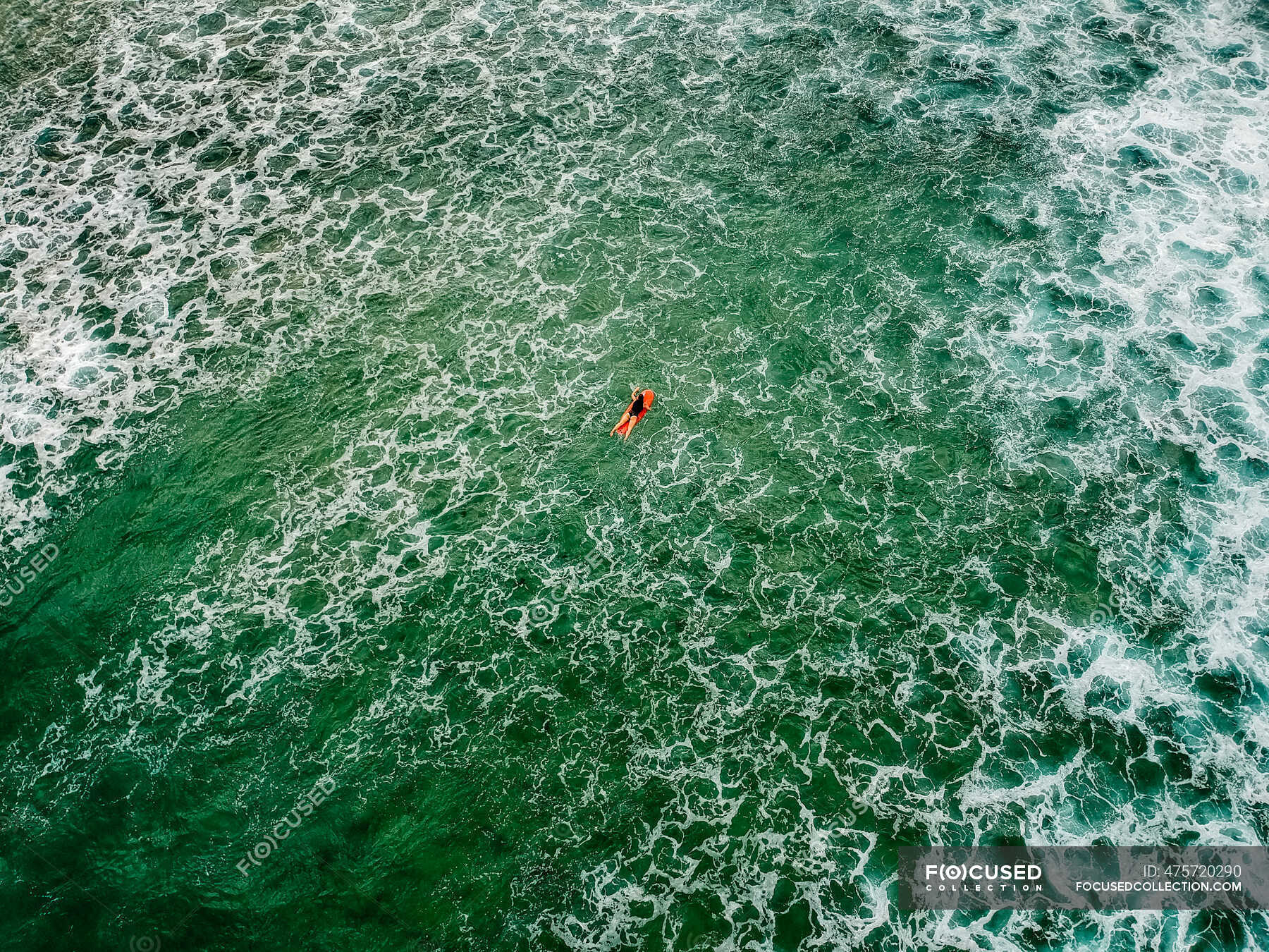 Surfer Paddling Out To Catch A Wave, Bondi Beach, New South Wales ...