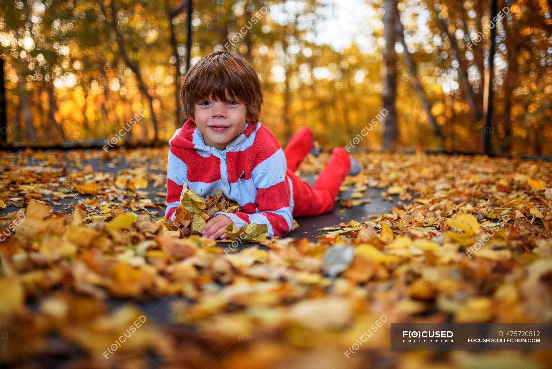 Portrait of a smiling boy lying on a trampoline covered in autumn