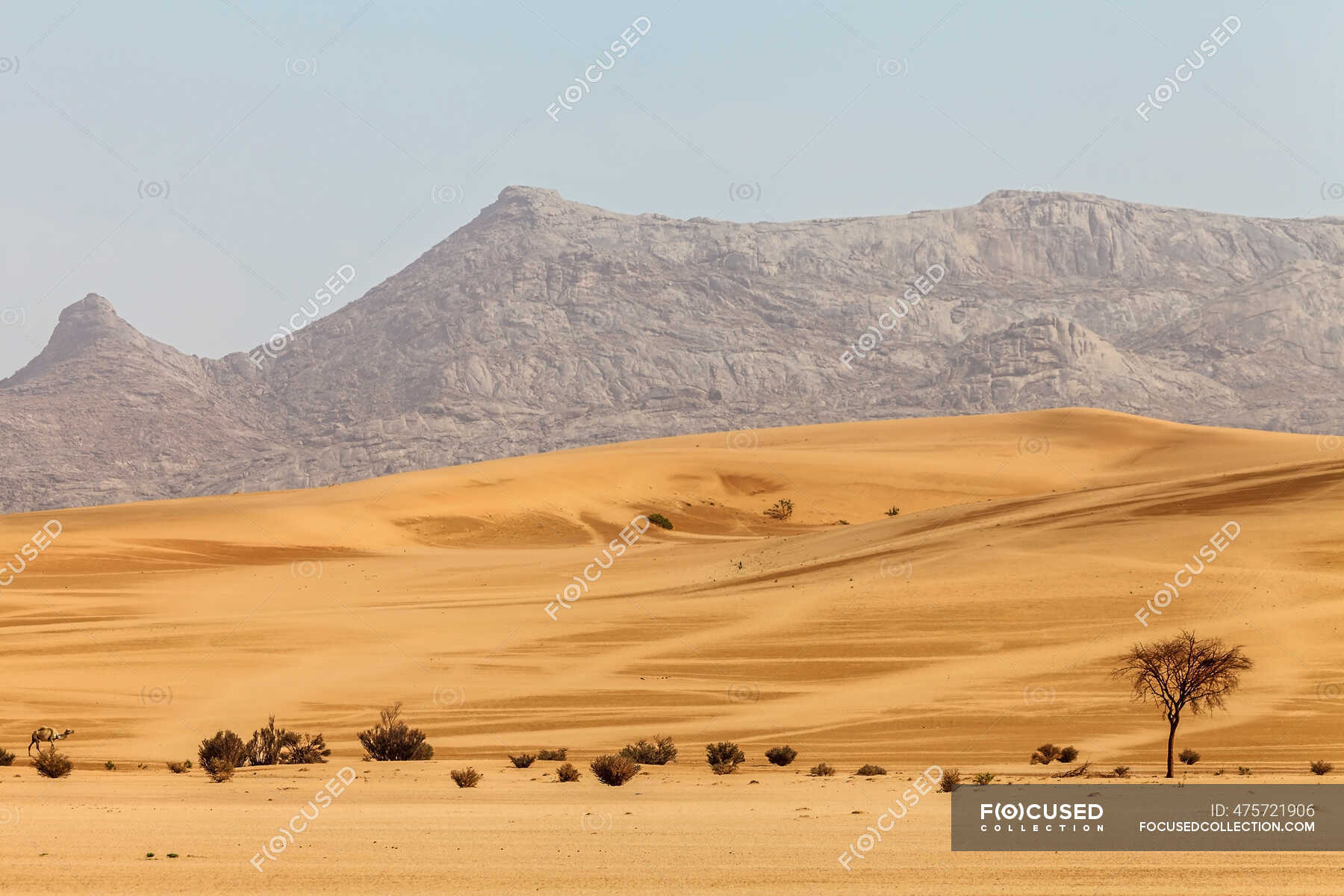Desert Landscape Saudi Arabia Day, Saudi Arabia Landscape