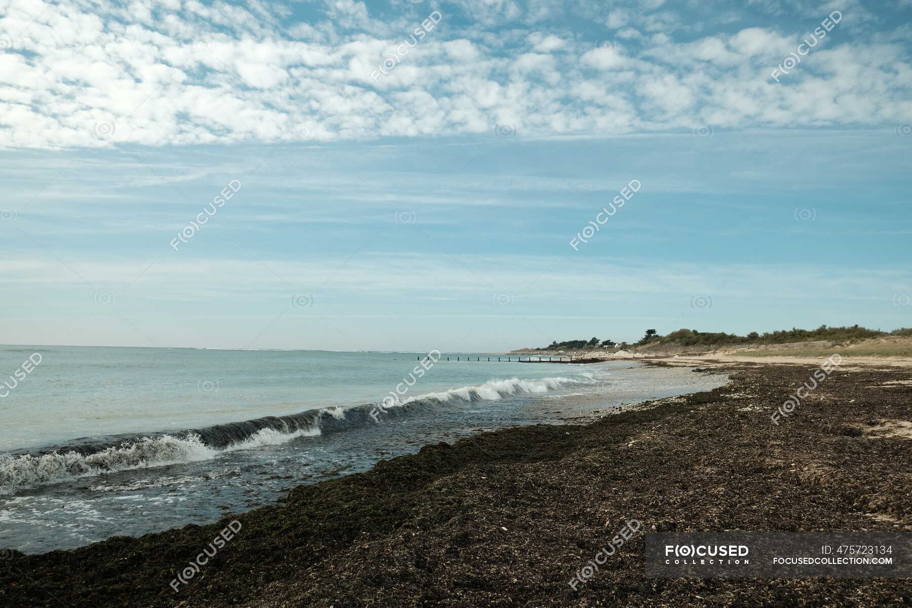 Empty beach, Ile de Re, Nouvelle-Aquitaine, France — copy space