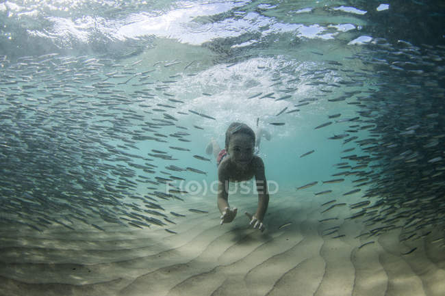 Niño nadando con cardumen de peces - foto de stock