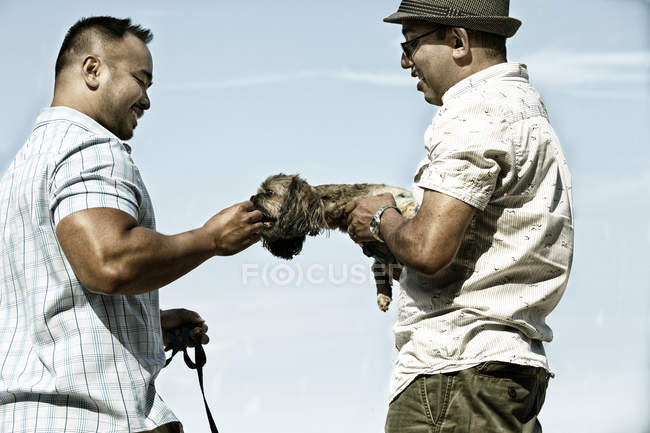 Men playing with dog — Stock Photo