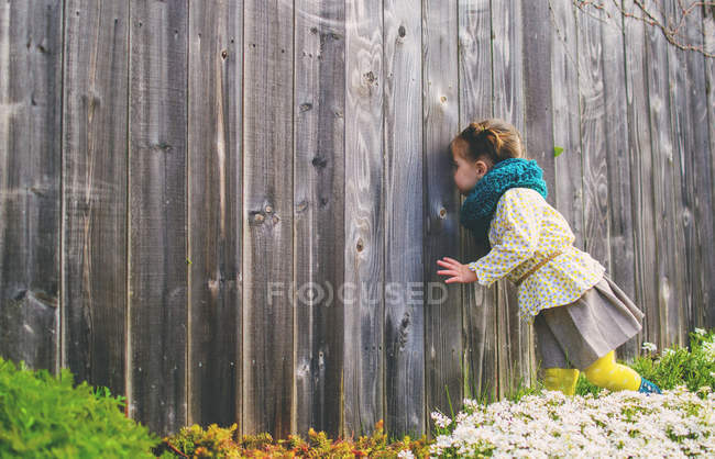 Girl looking trough wooden fence — Stock Photo