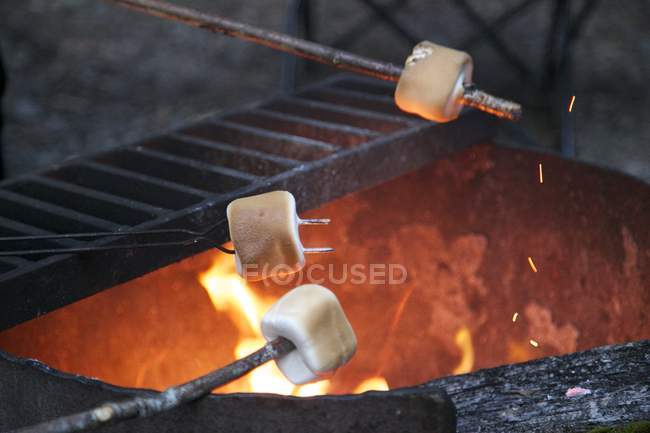 Malvaviscos tostados en llamas - foto de stock