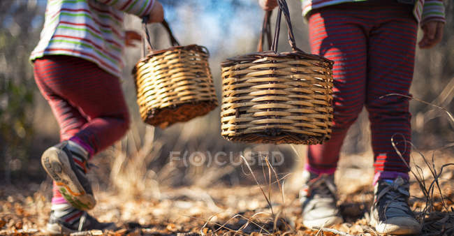 Two girls carrying baskets — Stock Photo