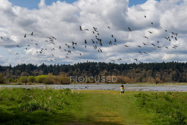 Girl looking at flock of birds — Stock Photo
