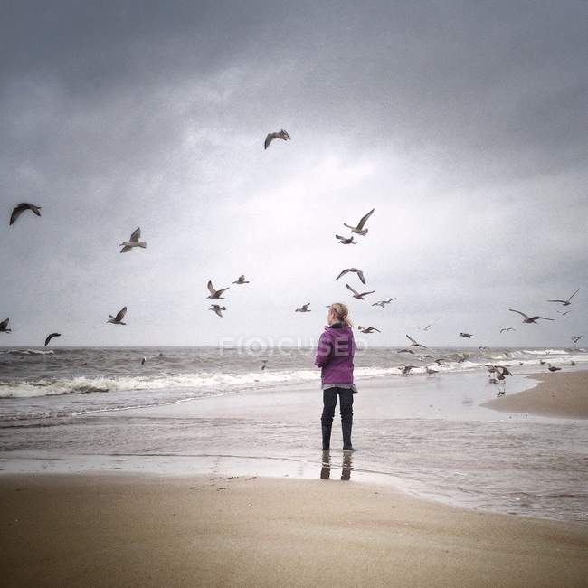 Girl on beach with flock of birds — Stock Photo