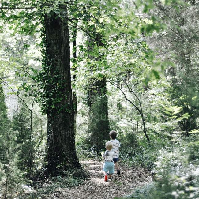 Two boys walking in woods — Stock Photo