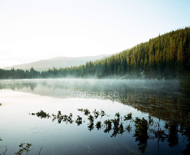 Медвежье озеро на рассвете — стоковое фото