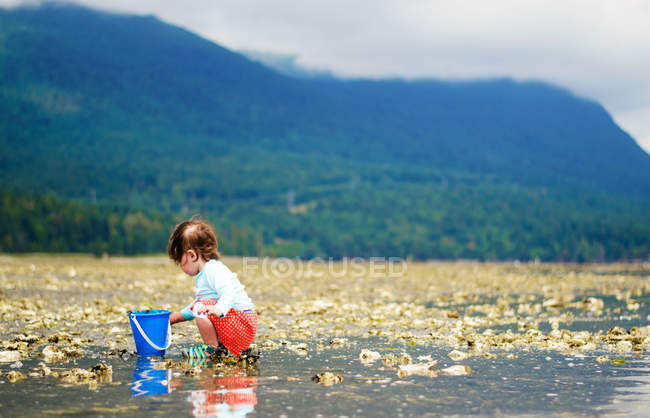 Girl collecting things on beach — Stock Photo
