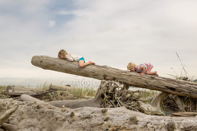 Mädchen krabbeln auf Baumstamm — Stockfoto