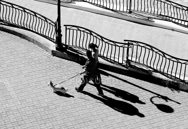 Caminhada de casal com cão — Fotografia de Stock