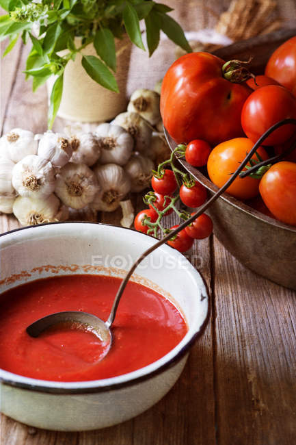 Tomato soup and tomatoes — Stock Photo