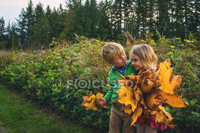 Boy and girl holding autumn leaves — Stock Photo