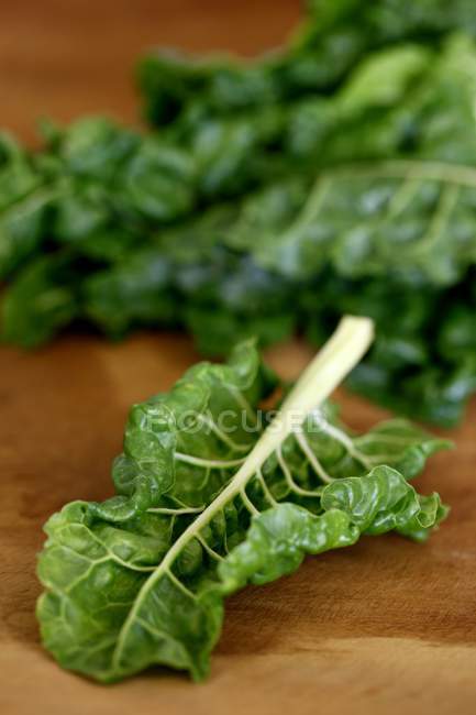 Вид на лист салату — стокове фото