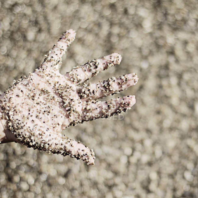 Hand covered in sand — Stock Photo