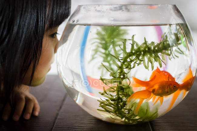 Girl looking at fishbowl — Stock Photo