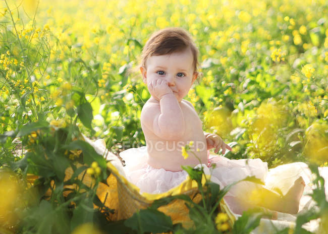 Toddler sitting on field — Stock Photo
