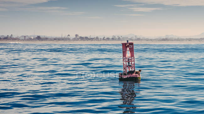 Red buoy on water — Stock Photo