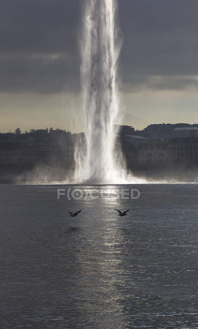 Suíça, Genebra, Jet D 'eau — Fotografia de Stock