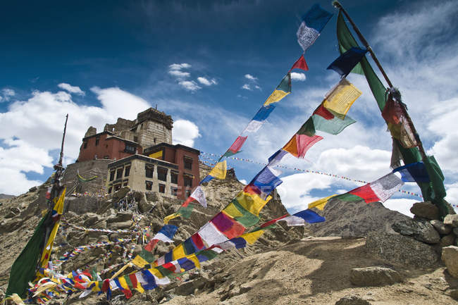 Namgyal tsemo gompa and prayer flags — Stock Photo