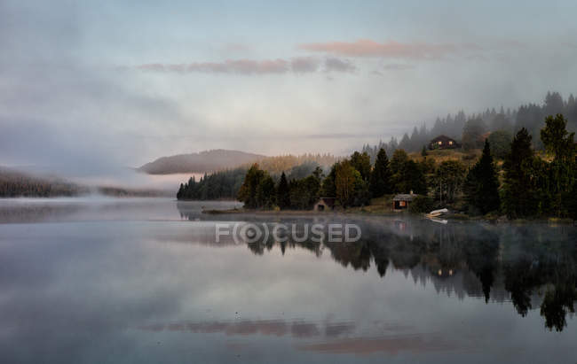 Landscape in early morning — Stock Photo
