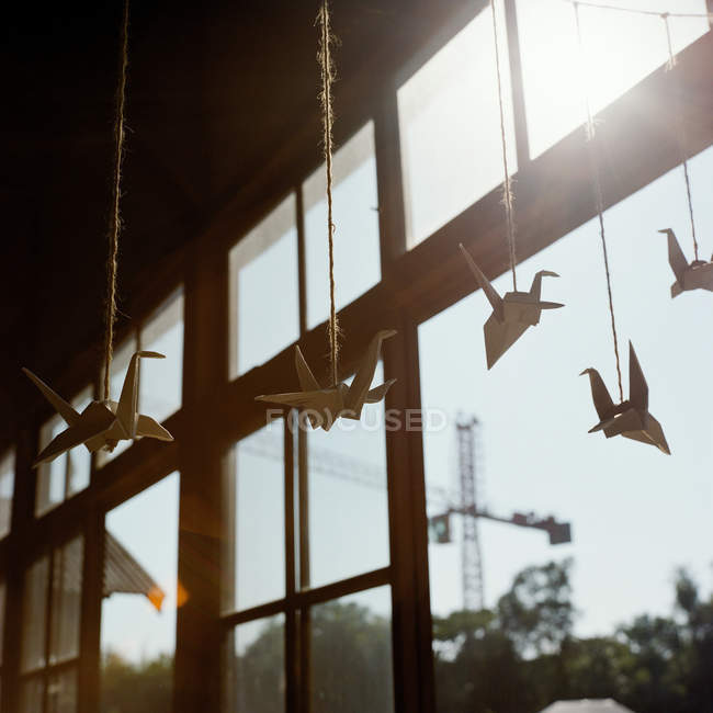 Cisnes de papel em cordas — Fotografia de Stock